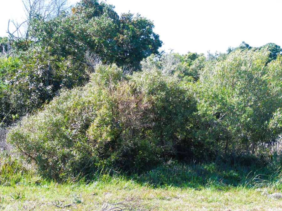 0 Bedroom Property for Sale in Paradise Beach Eastern Cape